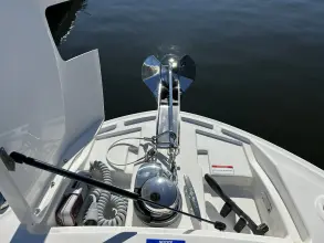 Thumbnail von Sea Ray SLX 310 Outboard