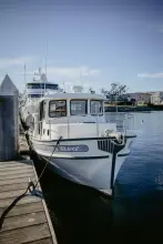 Thumbnail von Nordic Tugs 32 OLD BRO