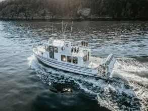 Thumbnail von Nordic Tugs 32 OLD BRO