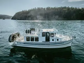 Thumbnail von Nordic Tugs 32 OLD BRO