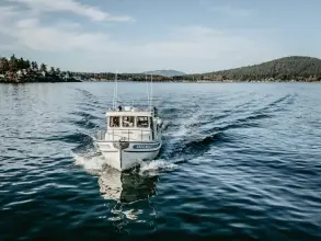 Thumbnail von Nordic Tugs 32 OLD BRO