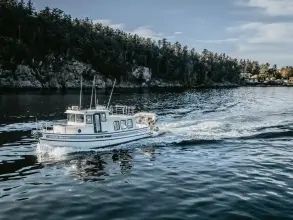 Thumbnail von Nordic Tugs 32 OLD BRO