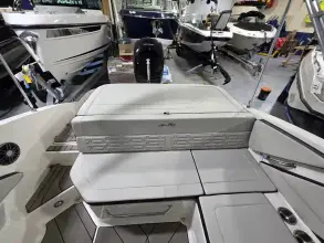 Thumbnail von Sea Ray SPX 190 Outboard