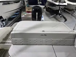 Thumbnail von Sea Ray SPX 190 Outboard