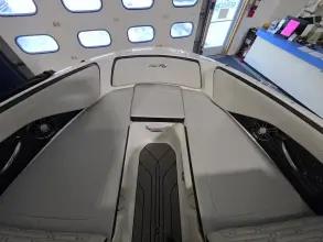 Thumbnail von Sea Ray SPX 190 Outboard