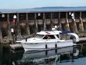 Thumbnail von Cutwater Boats 28 Free Range