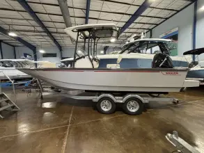Boston Whaler 210 Montauk