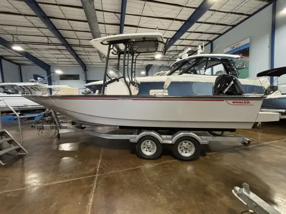 Boston Whaler 210 Montauk