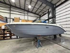 Sea Ray SDX 230 Outboard
