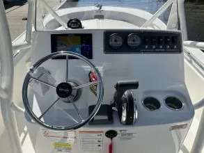 Thumbnail von Boston Whaler 190 Montauk