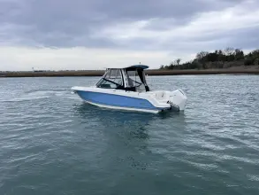 Thumbnail von Boston Whaler 240 Vantage