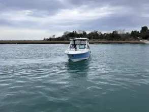 Thumbnail von Boston Whaler 240 Vantage