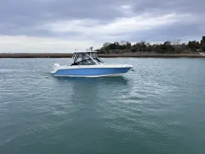 Thumbnail von Boston Whaler 240 Vantage