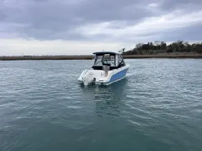 Thumbnail von Boston Whaler 240 Vantage