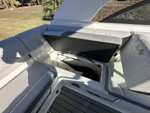 Thumbnail von Sea Ray SDX 230 Outboard