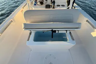 Thumbnail von Boston Whaler 190 Montauk