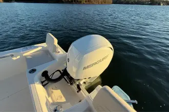 Thumbnail von Boston Whaler 190 Montauk