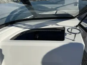Thumbnail von Sea Ray SPX 210 Outboard