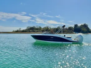 Thumbnail von Sea Ray SPX 210 Outboard