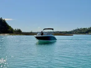 Thumbnail von Sea Ray SPX 210 Outboard