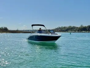 Thumbnail von Sea Ray SPX 210 Outboard