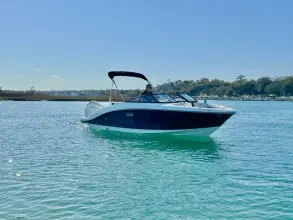 Thumbnail von Sea Ray SPX 210 Outboard