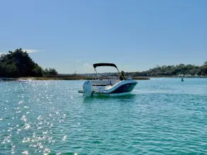 Thumbnail von Sea Ray SPX 210 Outboard