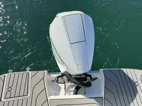 Thumbnail von Sea Ray SPX 210 Outboard