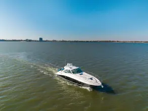 Thumbnail von Sea Ray 48 Sundancer