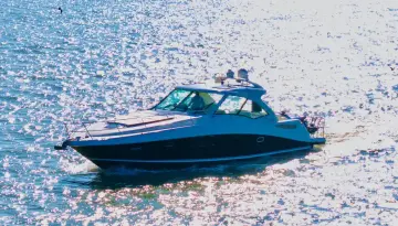 Thumbnail von Sea Ray 48 Sundancer