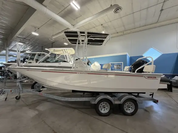 Boston Whaler 190 Montauk
