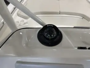 Thumbnail von Boston Whaler 190 Montauk