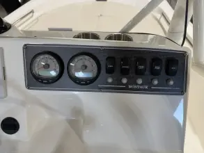 Thumbnail von Boston Whaler 190 Montauk