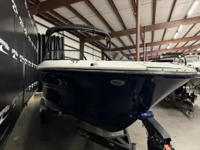 Thumbnail von Sea Ray SPX 210