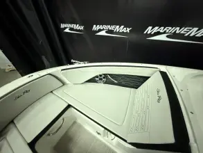 Thumbnail von Sea Ray SPX 210