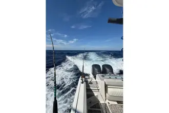 Thumbnail von Sea Fox Boats 288 Commander