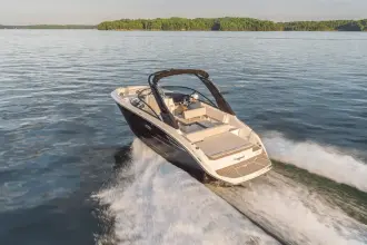 Thumbnail von Sea Ray SDX 250