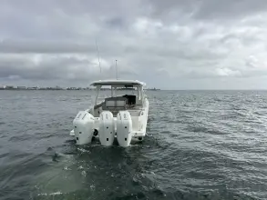 Thumbnail von Boston Whaler 350 Realm