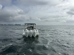 Thumbnail von Boston Whaler 350 Realm