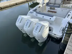 Thumbnail von Boston Whaler 350 Realm