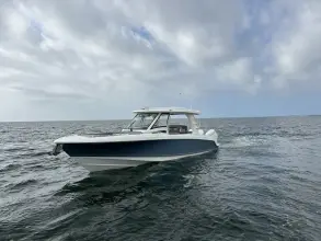 Thumbnail von Boston Whaler 350 Realm