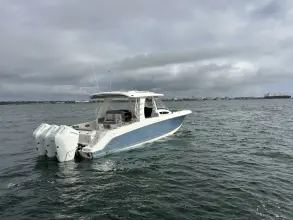 Thumbnail von Boston Whaler 350 Realm
