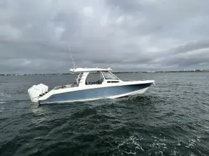Thumbnail von Boston Whaler 350 Realm