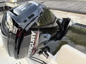 Thumbnail von Boston Whaler 170 Montauk