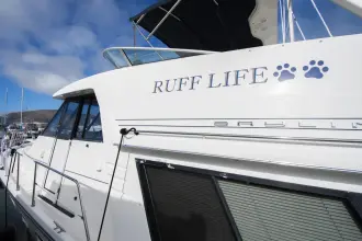 Thumbnail von Bayliner 4788 Pilothouse