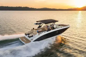 Sea Ray SDX 290 