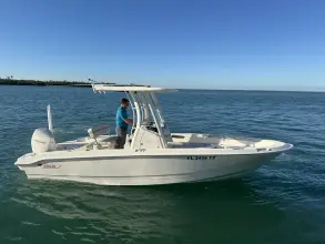 Thumbnail von Boston Whaler 220 Dauntless