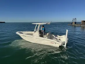 Thumbnail von Boston Whaler 220 Dauntless