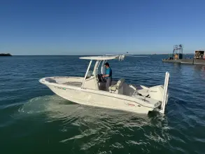 Thumbnail von Boston Whaler 220 Dauntless