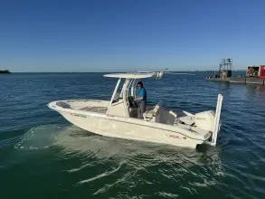 Thumbnail von Boston Whaler 220 Dauntless